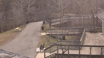 Weather camera view of Lake Roland Nature Council.