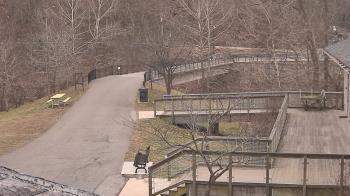 Weather camera view of Lake Roland Nature Council.