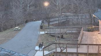 Weather camera view of Lake Roland Nature Council.