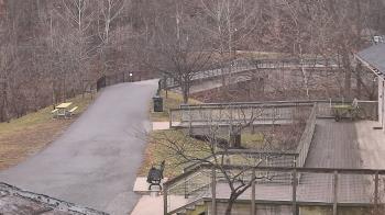 Weather camera view of Lake Roland Nature Council.