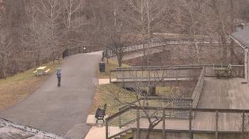 Weather camera view of Lake Roland Nature Council.