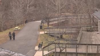 Weather camera view of Lake Roland Nature Council.