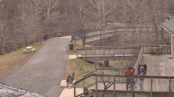 Weather camera view of Lake Roland Nature Council.