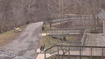 Weather camera view of Lake Roland Nature Council.