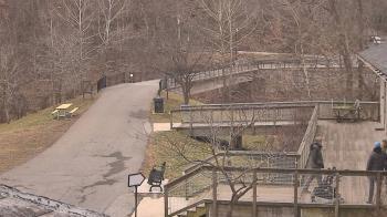 Weather camera view of Lake Roland Nature Council.