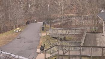 Weather camera view of Lake Roland Nature Council.