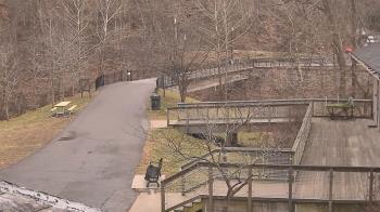 Weather camera view of Lake Roland Nature Council.