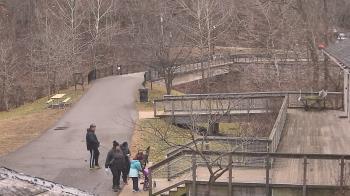 Weather camera view of Lake Roland Nature Council.