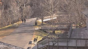 Weather camera view of Lake Roland Nature Council.