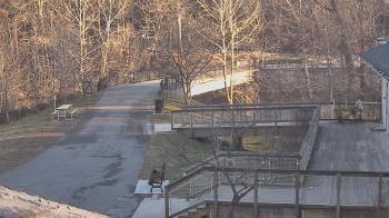 Weather camera view of Lake Roland Nature Council.