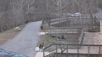 Weather camera view of Lake Roland Nature Council.