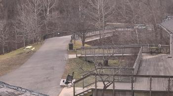 Weather camera view of Lake Roland Nature Council.