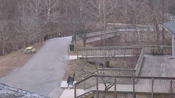 Weather camera view of Lake Roland Nature Council.