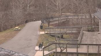 Weather camera view of Lake Roland Nature Council.