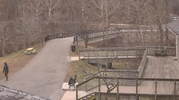 Weather camera view of Lake Roland Nature Council.