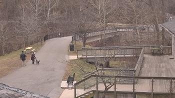 Weather camera view of Lake Roland Nature Council.