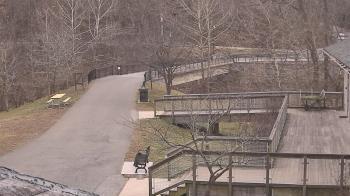 Weather camera view of Lake Roland Nature Council.