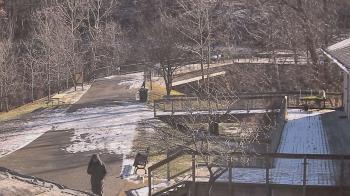 Weather camera view of Lake Roland Nature Council.