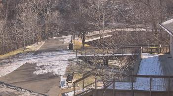 Weather camera view of Lake Roland Nature Council.