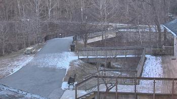 Weather camera view of Lake Roland Nature Council.