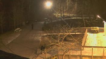 Weather camera view of Lake Roland Nature Council.