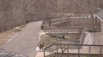 Weather camera view of Lake Roland Nature Council.