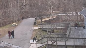 Weather camera view of Lake Roland Nature Council.