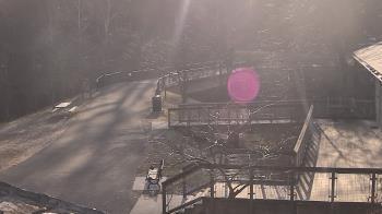 Weather camera view of Lake Roland Nature Council.