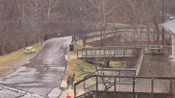 Weather camera view of Lake Roland Nature Council.