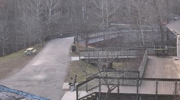 Weather camera view of Lake Roland Nature Council.