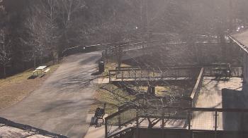 Weather camera view of Lake Roland Nature Council.