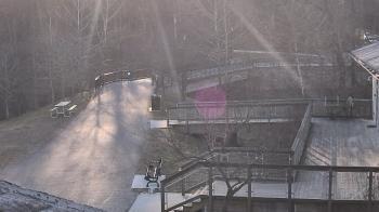 Weather camera view of Lake Roland Nature Council.