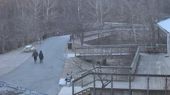 Weather camera view of Lake Roland Nature Council.