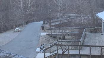 Weather camera view of Lake Roland Nature Council.