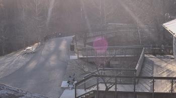 Weather camera view of Lake Roland Nature Council.