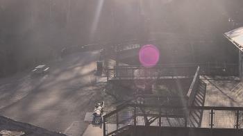 Weather camera view of Lake Roland Nature Council.