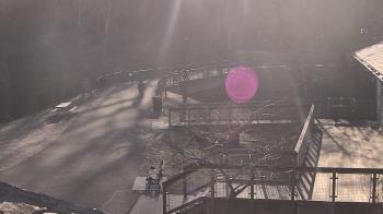 Weather camera view of Lake Roland Nature Council.