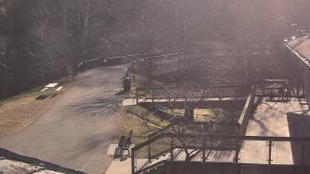 Weather camera view of Lake Roland Nature Council.