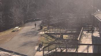 Weather camera view of Lake Roland Nature Council.