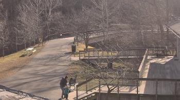 Weather camera view of Lake Roland Nature Council.