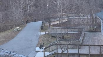 Weather camera view of Lake Roland Nature Council.