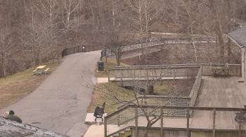 Weather camera view of Lake Roland Nature Council.