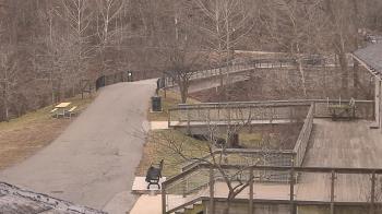 Weather camera view of Lake Roland Nature Council.