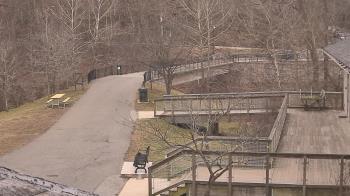 Weather camera view of Lake Roland Nature Council.