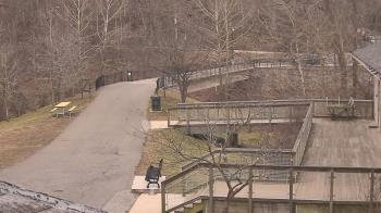 Weather camera view of Lake Roland Nature Council.