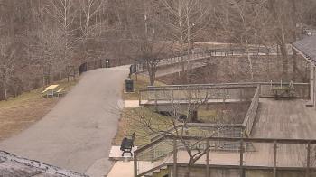 Weather camera view of Lake Roland Nature Council.