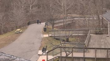 Weather camera view of Lake Roland Nature Council.