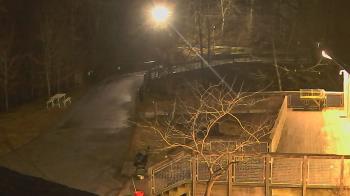 Weather camera view of Lake Roland Nature Council.