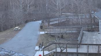 Weather camera view of Lake Roland Nature Council.