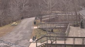 Weather camera view of Lake Roland Nature Council.